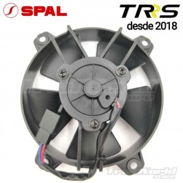 Tifoso SPAL TRRS One e Raga Racing SPAL 2