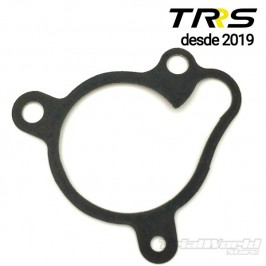 Guarnizione della pompa dell'acqua TRRS 2019 in poi