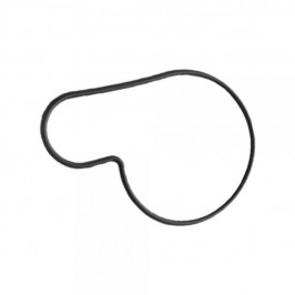 Water pump O-ring Beta 1995 to 2020