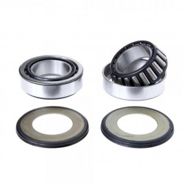 Kit cuscinetti sterzo Montesa 4RT