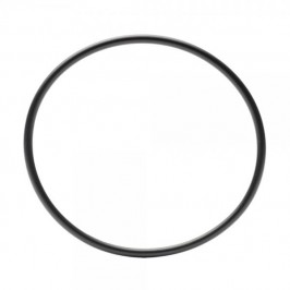 O-ring for Beta EVO intermediate silencer