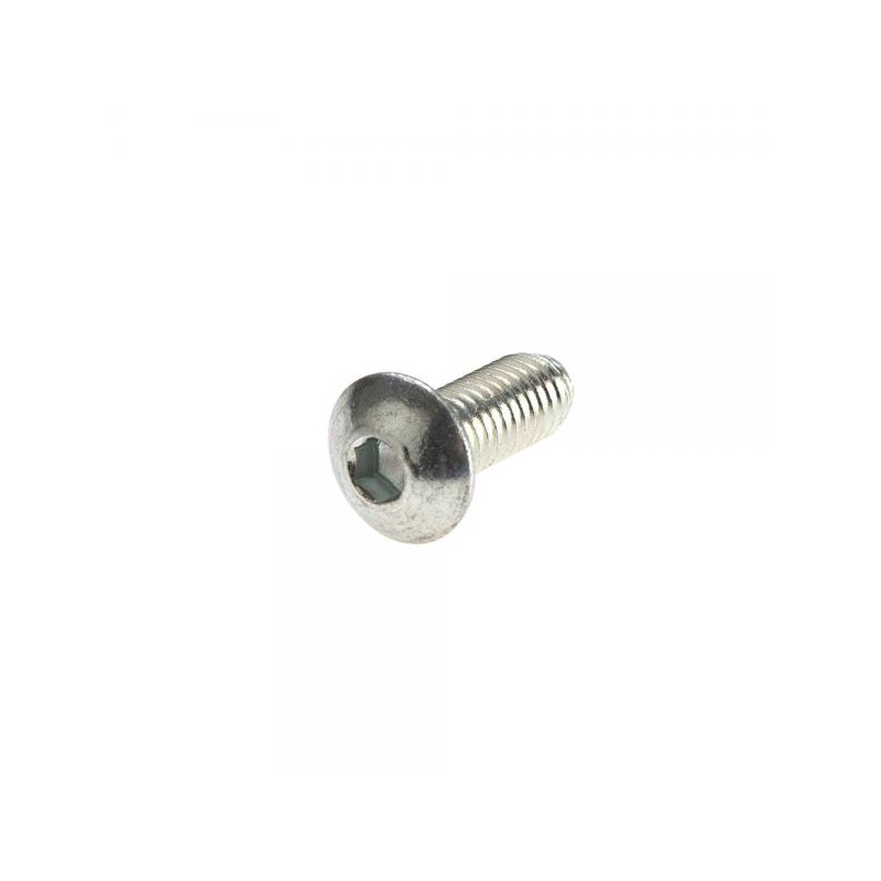 Screw ISO 7380 stainless steel M5x10...