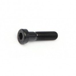 Screw DIN 7984 M6x30 starter lever Vertigo