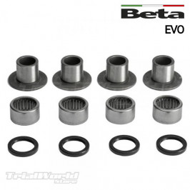 Kit cuscinetti forcellone Beta EVO