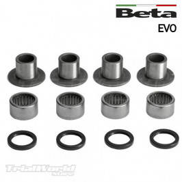 Swingarm bearing kit Beta EVO
