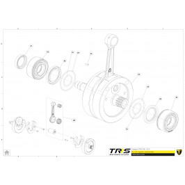 Tórica casquillo salida cigüeñal TRRS desde 2019 2