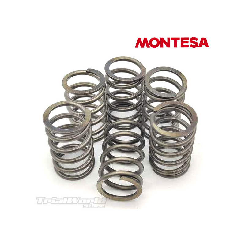 Complete set of clutch spring Montesa...